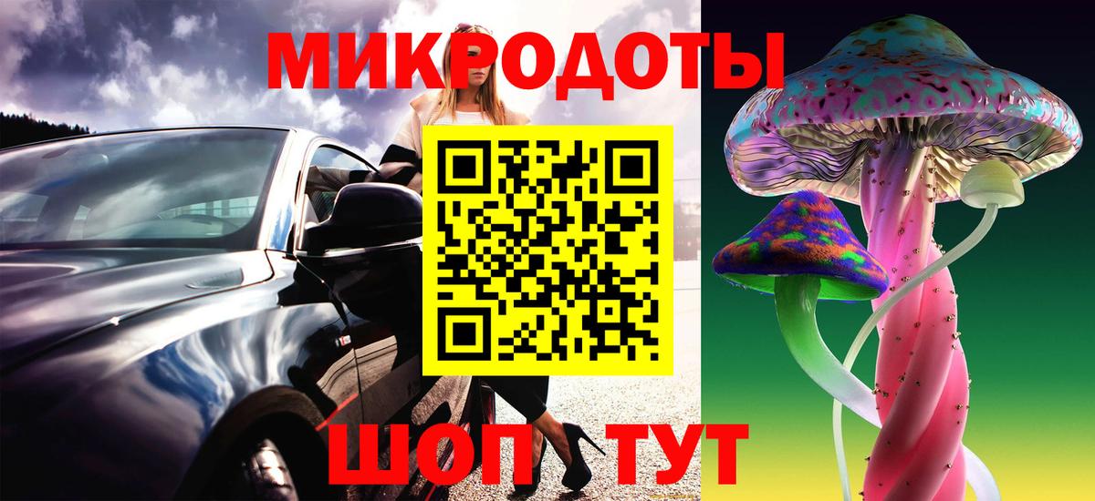 Псилоцибиновые грибы Psilocybine cubensis Гудермес