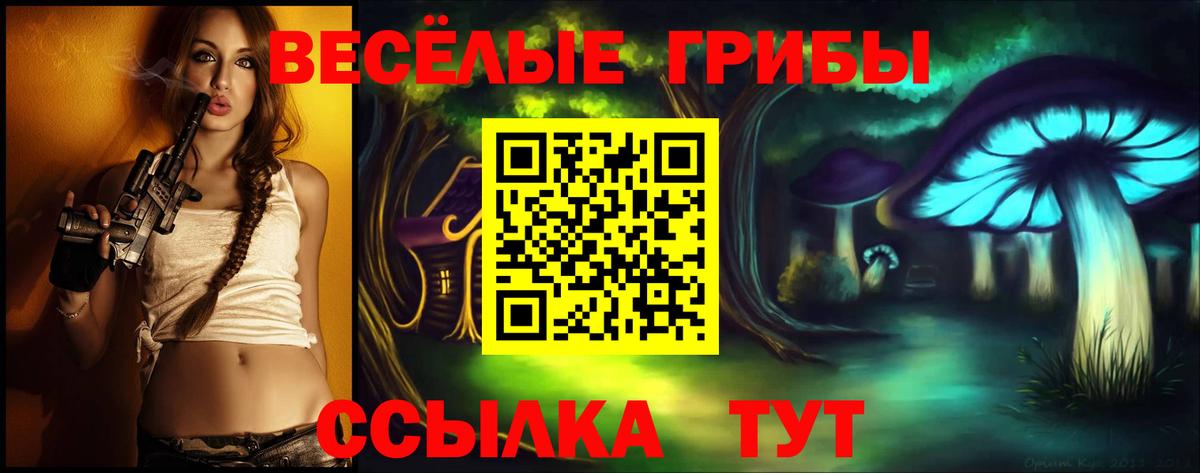 Гудермес  Псилоцибиновые грибы ЛСД  Вход с VPN 